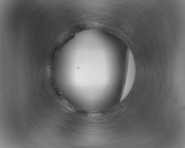 X0000070240716200606020933