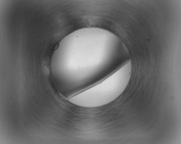 X0000070240719200606020933