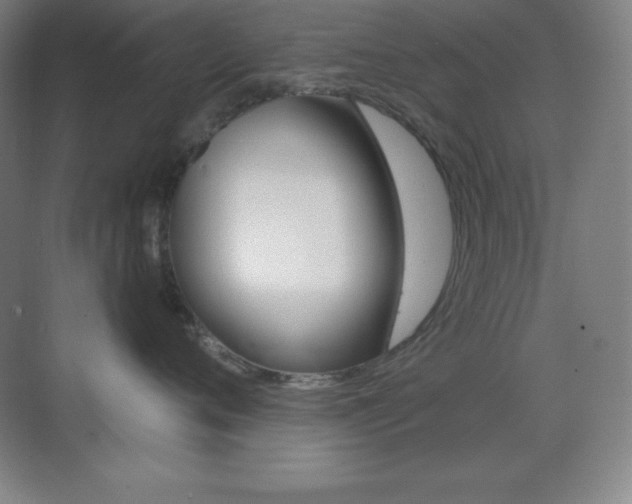 X0000070240720200606020932