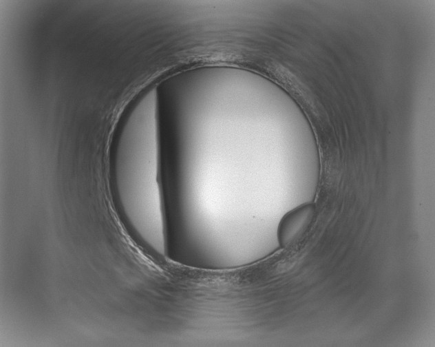 X0000070240721200606020932