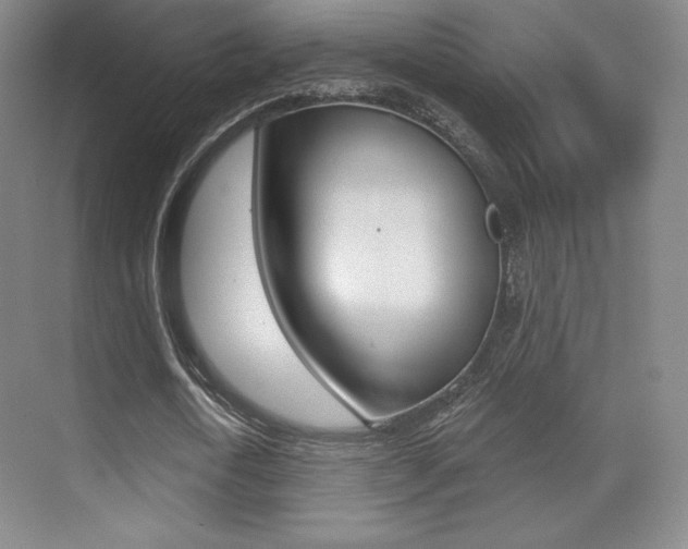 X0000070240722200606020932