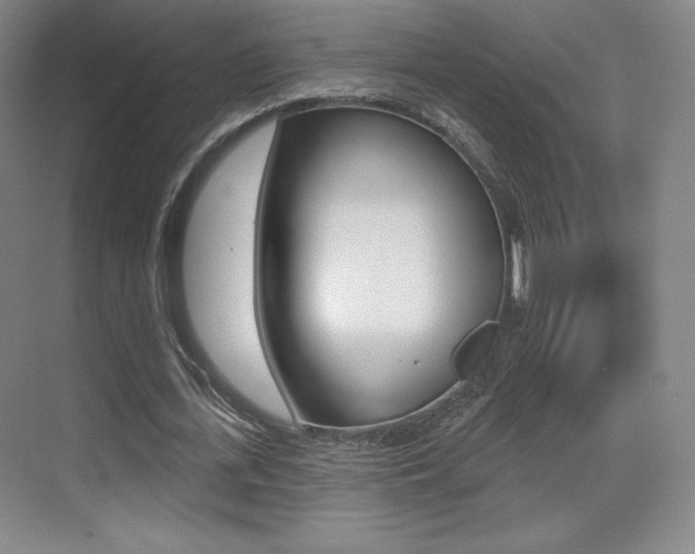 X0000070240723200606020932
