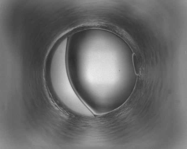 X0000070240724200606020932