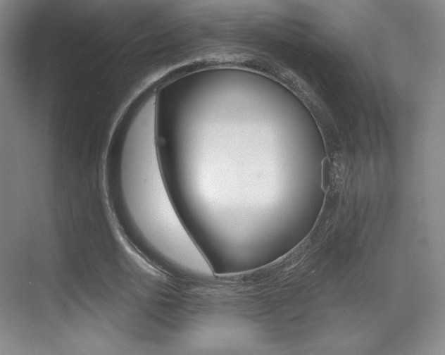 X0000070240726200606020932