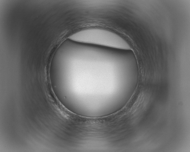 X0000070240729200606020932