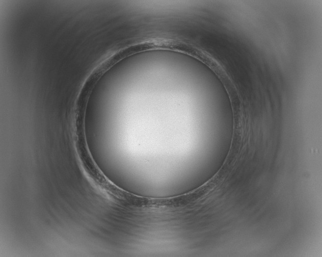 X0000070240730200606020932