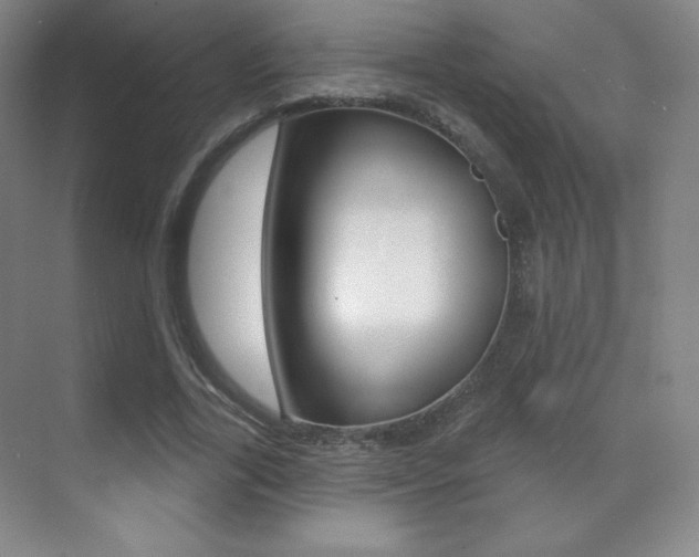 X0000070240731200606020932