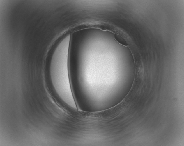 X0000070240732200606020932