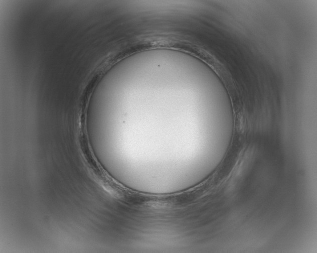 X0000070240733200606020932