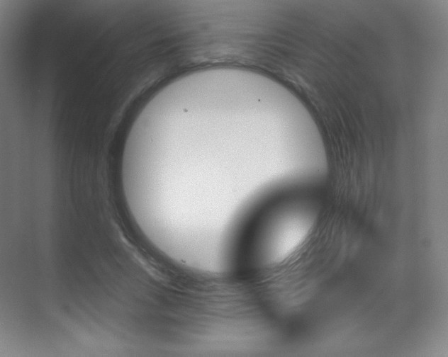 X0000070240735200606020932