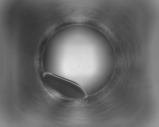 X0000070240736200606020932