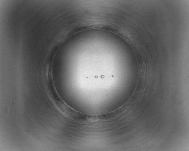 X0000070240742200606020932