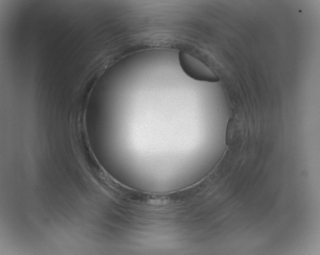 X0000070240744200606020932