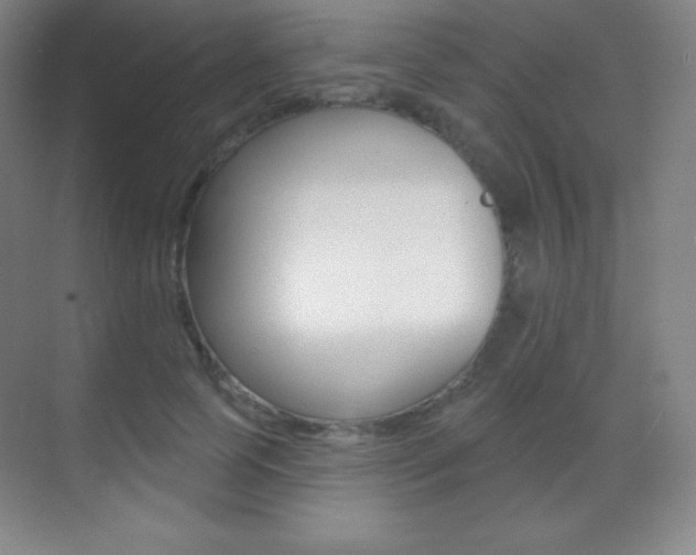 X0000070240745200606020932