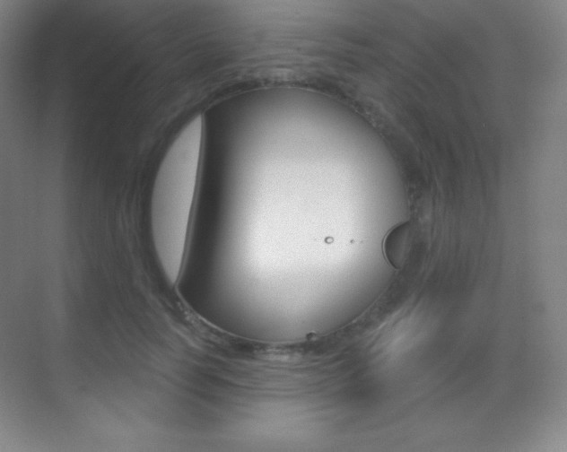 X0000070240746200606020932