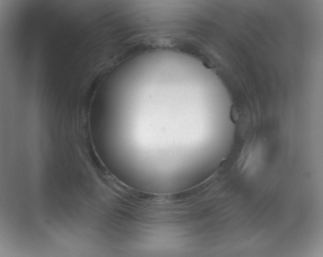 X0000070240747200606020932