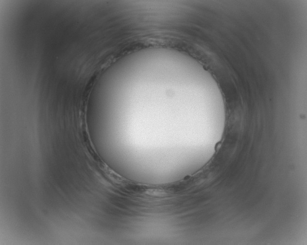 X0000070240749200606020932