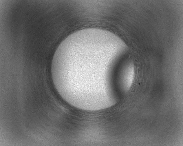X0000070240750200606020932