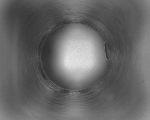 X0000070240752200606020932