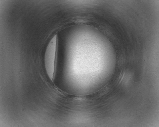 X0000070240755200606020932