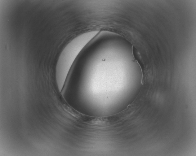 X0000070240756200606020932