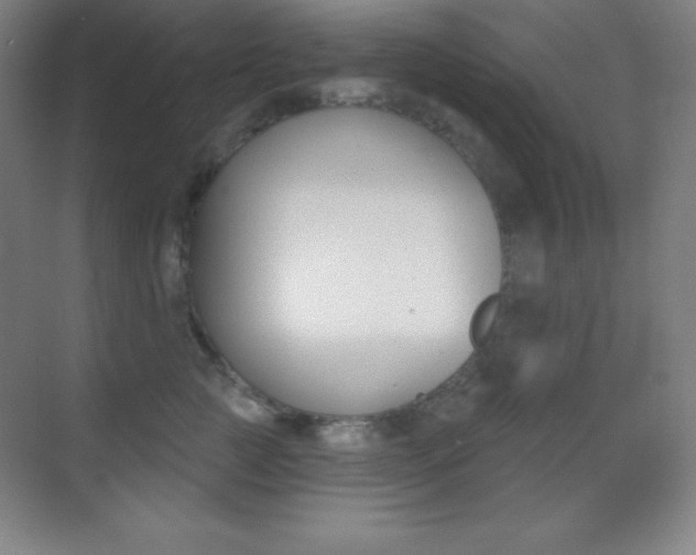 X0000070240761200606020932
