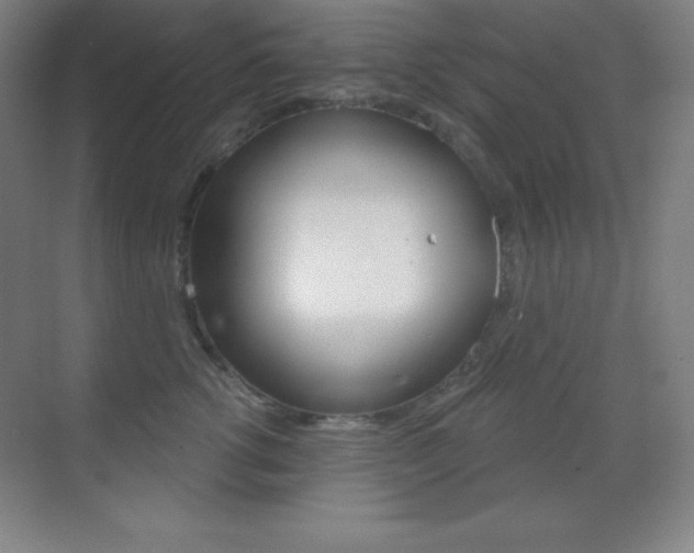 X0000070240762200606020932