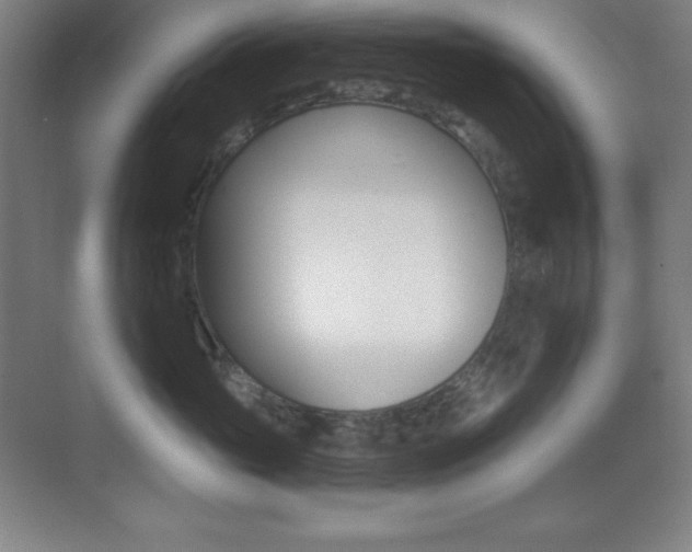 X0000070240765200606020932