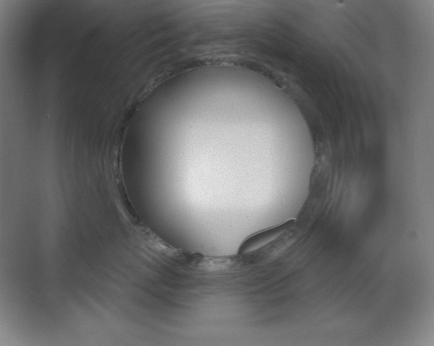 X0000070240767200606020932