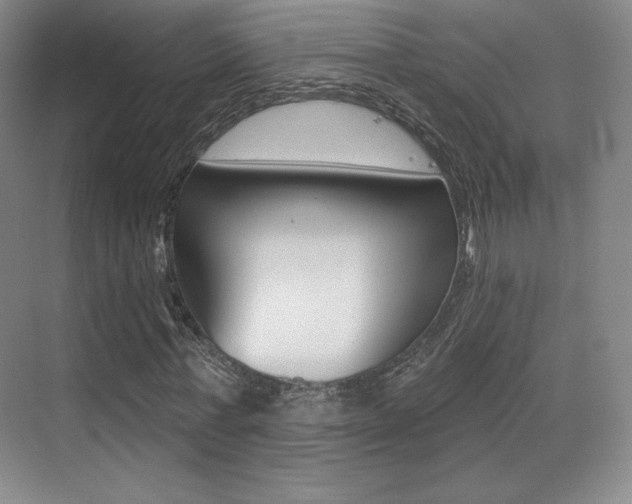 X0000070240771200606020932