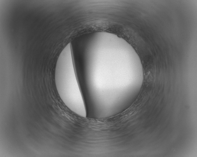X0000070240772200606020932