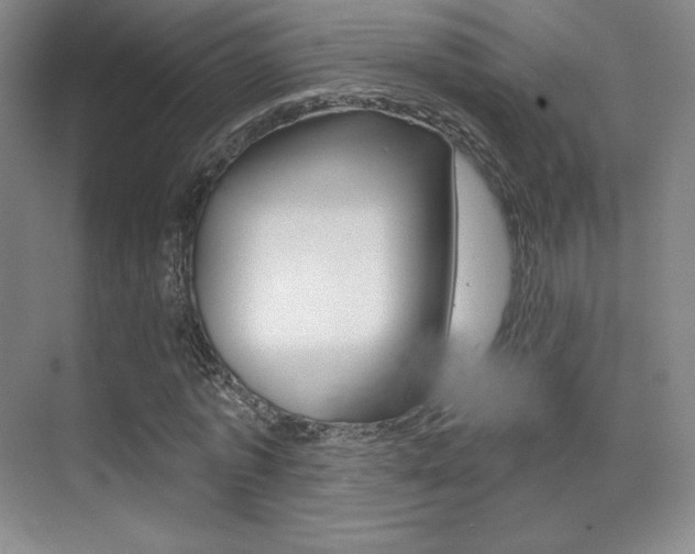 X0000070240773200606020932