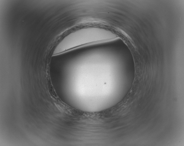 X0000070240775200606020932