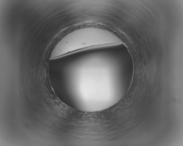 X0000070240776200606020932