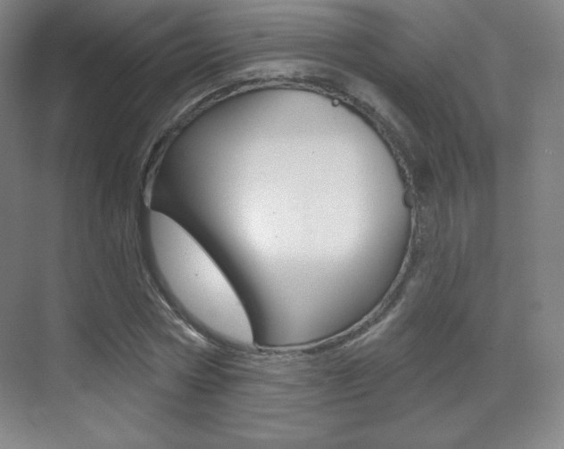 X0000070240778200606020932