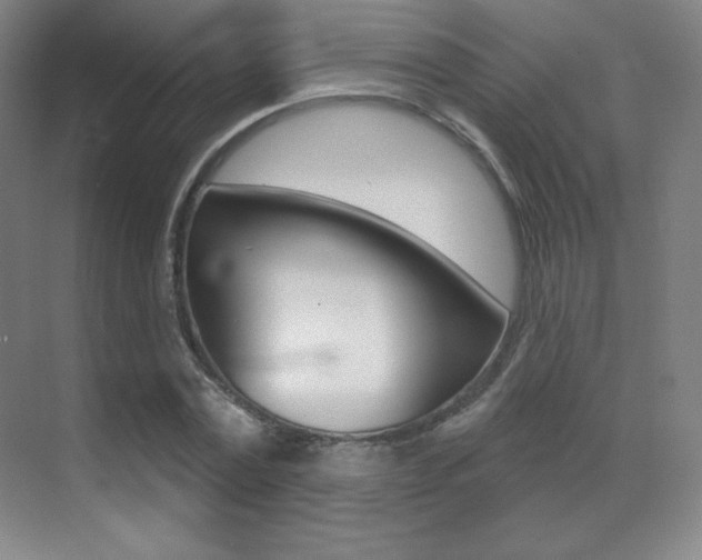 X0000070240779200606020931