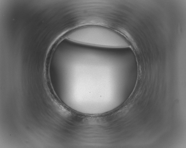 X0000070240780200606020931