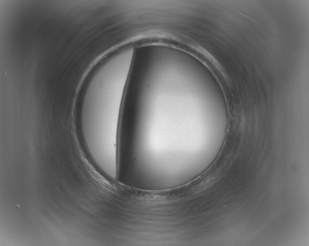 X0000070240783200606020931