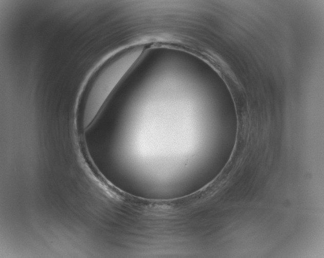 X0000070240784200606020931