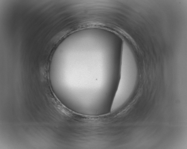 X0000070240785200606020931
