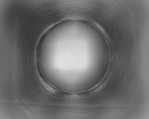 X0000070240787200606020931
