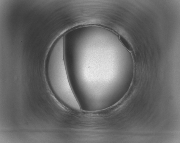 X0000070240789200606020931