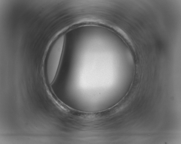 X0000070240791200606020931