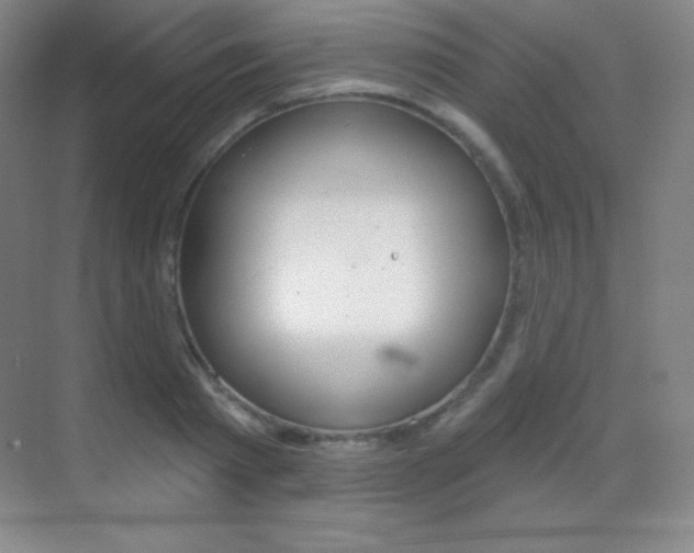 X0000070240793200606020931