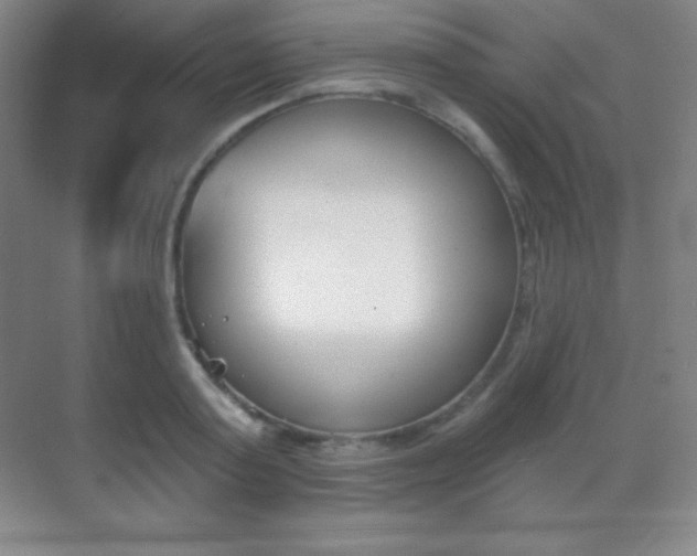 X0000070240795200606020931