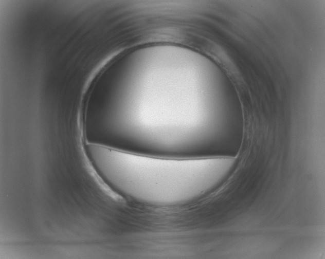X0000070240796200606020931