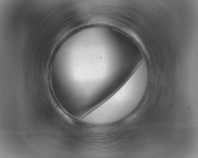 X0000070240799200606020931