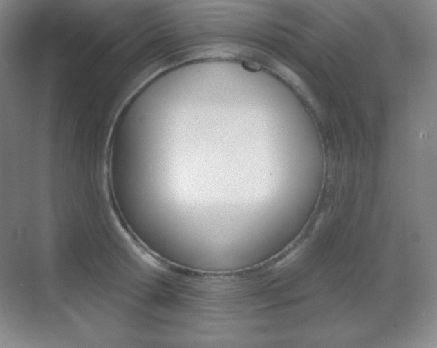 X0000070240802200606020931