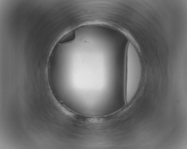 X0000070240805200606020931