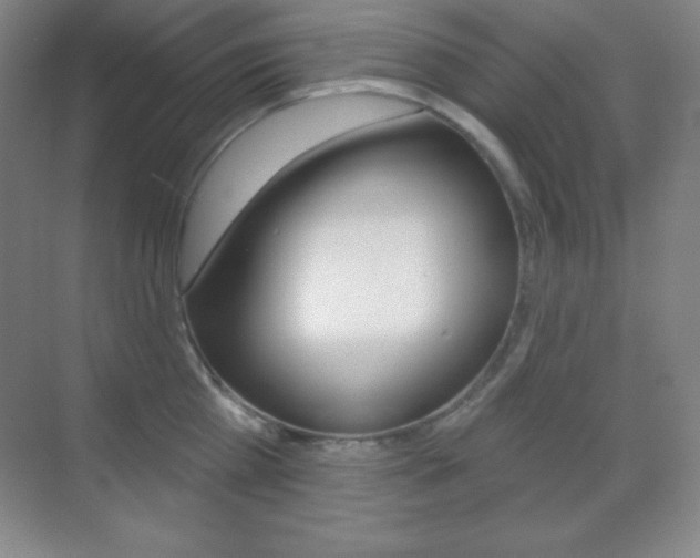 X0000070240809200606020931